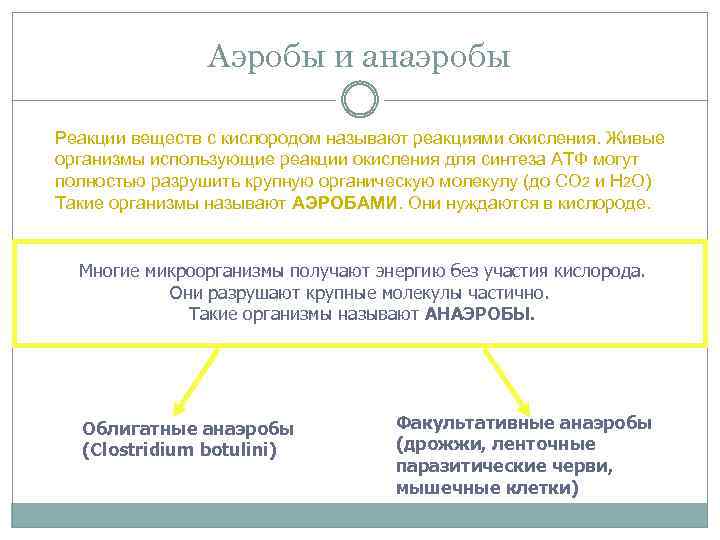 Аэробы и анаэробы Реакции веществ с кислородом называют реакциями окисления. Живые организмы использующие реакции