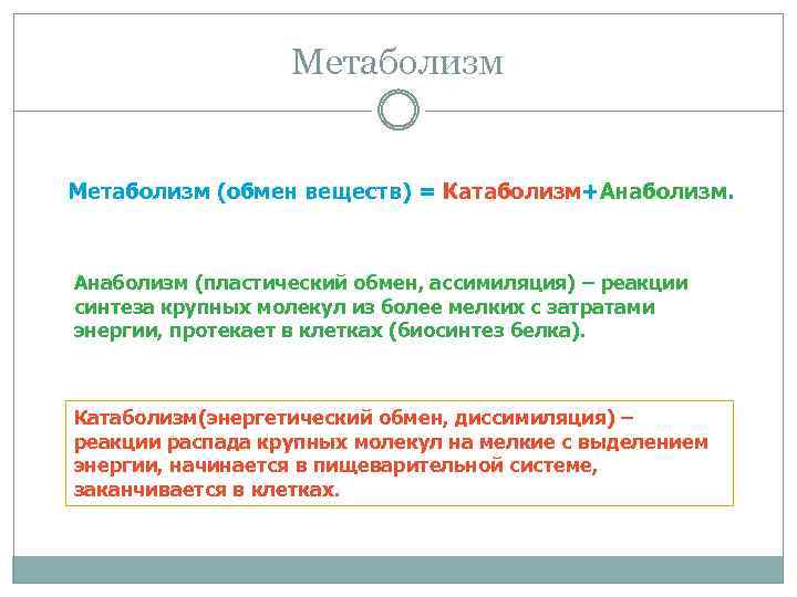Метаболизм (обмен веществ) = Катаболизм+Анаболизм. Анаболизм (пластический обмен, ассимиляция) – реакции синтеза крупных молекул