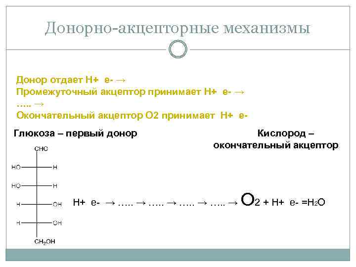 Донорно-акцепторные механизмы Донор отдает Н+ е- → Промежуточный акцептор принимает Н+ е- → ….