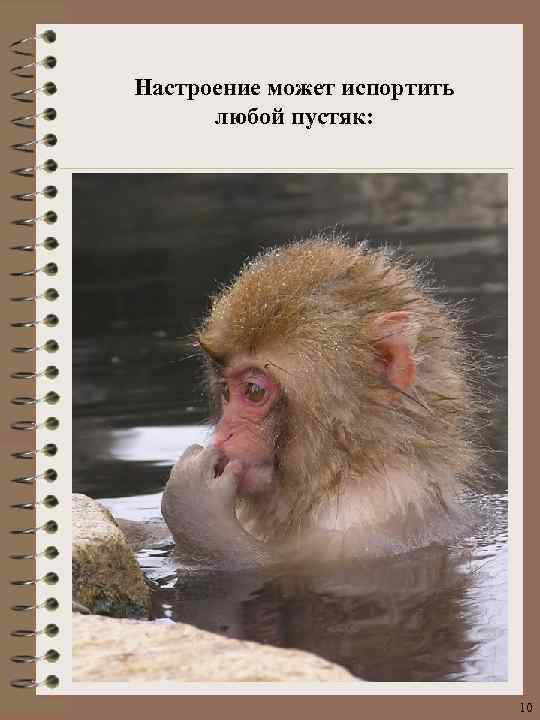 Настроение может испортить любой пустяк: 10 