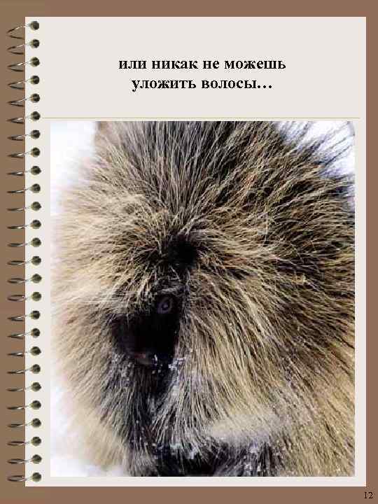 или никак не можешь уложить волосы… 12 