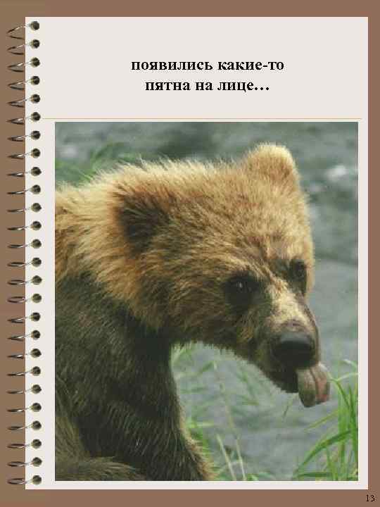 появились какие-то пятна на лице… 13 