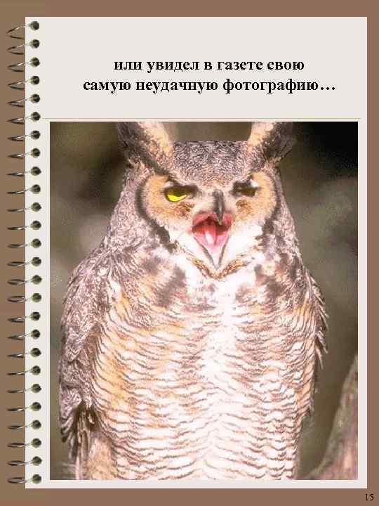 или увидел в газете свою самую неудачную фотографию… 15 
