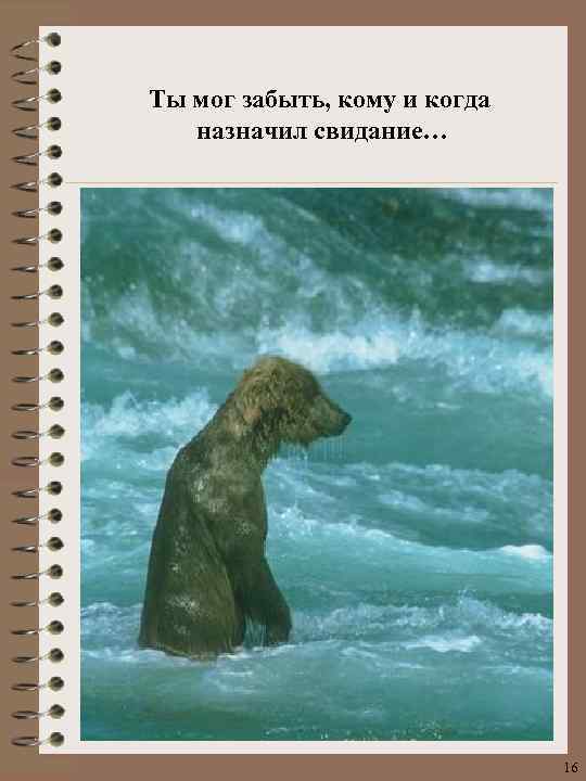 Ты мог забыть, кому и когда назначил свидание… 16 