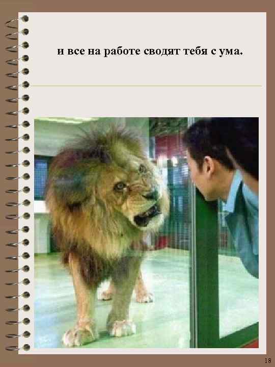и все на работе сводят тебя с ума. 18 