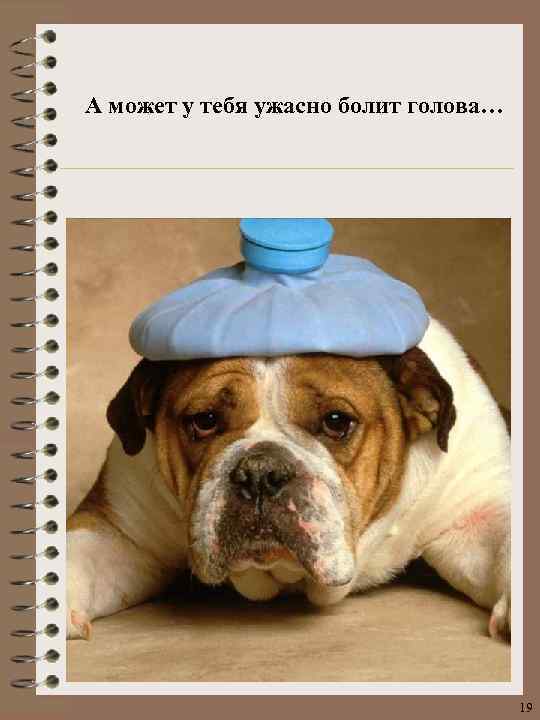 А может у тебя ужасно болит голова… 19 
