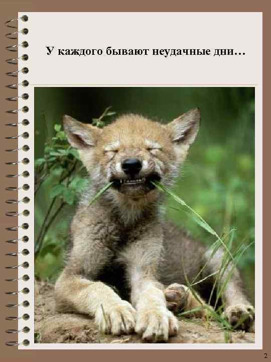 У каждого бывают неудачные дни… 2 