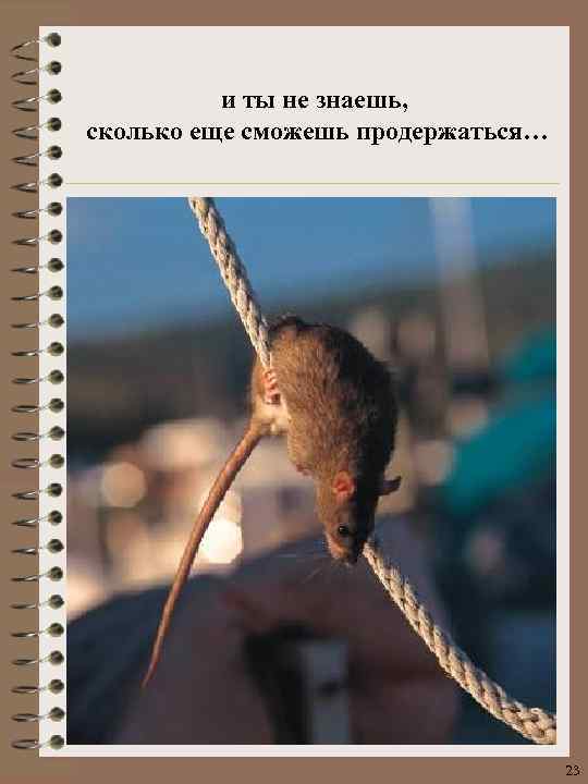 и ты не знаешь, сколько еще сможешь продержаться… 23 