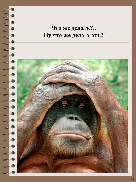 Что же делать? . . Ну что же дела-а-ать? 24 