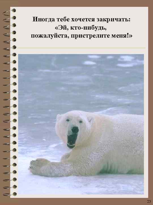 Иногда тебе хочется закричать: «Эй, кто-нибудь, пожалуйста, пристрелите меня!» 25 