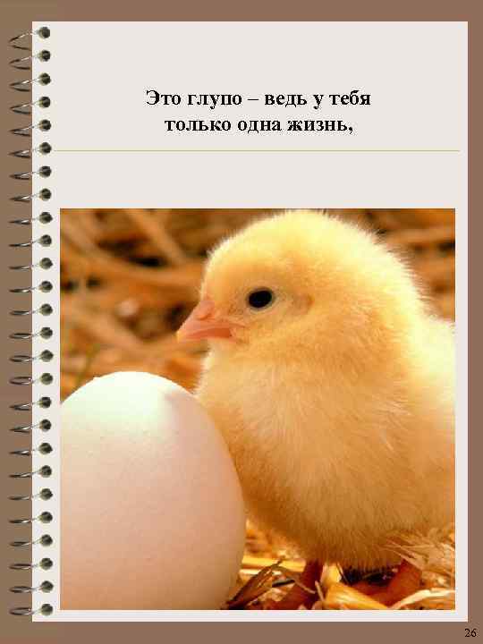 Это глупо – ведь у тебя только одна жизнь, 26 