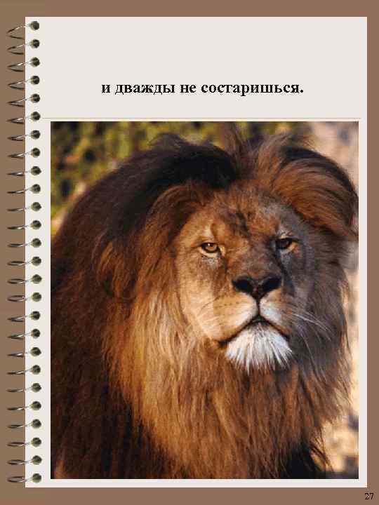 и дважды не состаришься. 27 