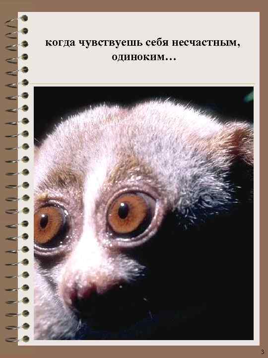 когда чувствуешь себя несчастным, одиноким… 3 
