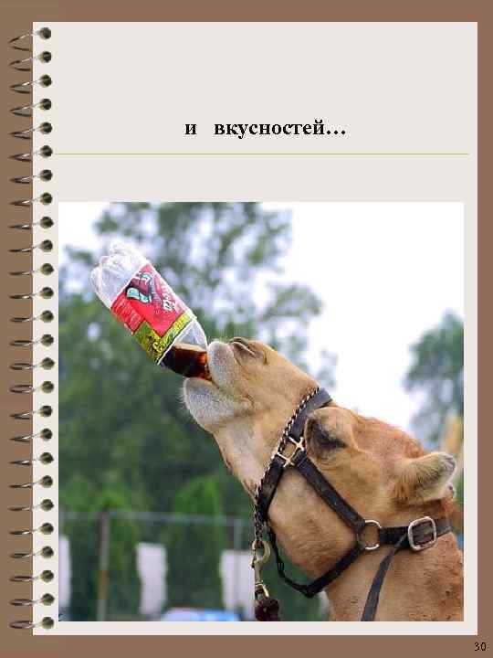 и вкусностей… 30 