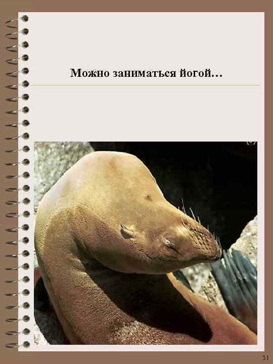 Можно заниматься йогой… 31 