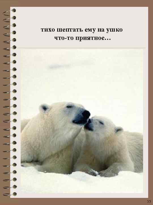 тихо шептать ему на ушко что-то приятное… 35 