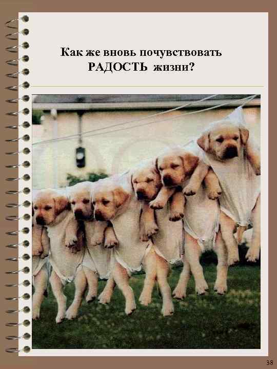 Как же вновь почувствовать РАДОСТЬ жизни? 38 