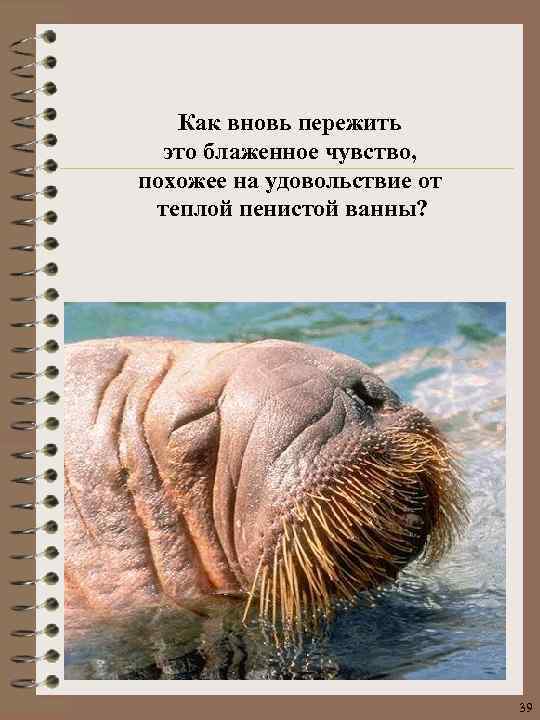 Как вновь пережить это блаженное чувство, похожее на удовольствие от теплой пенистой ванны? 39