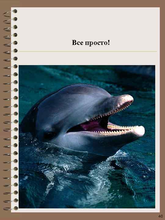 Все просто! 40 