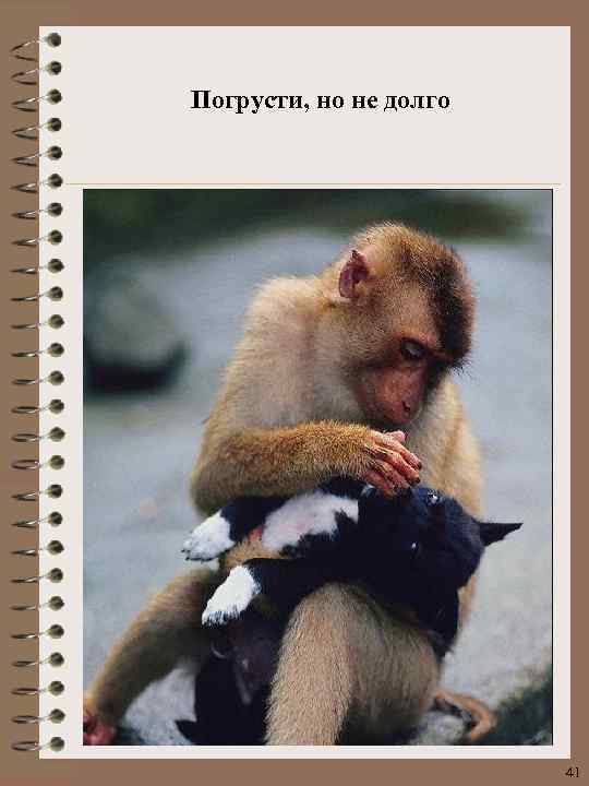 Погрусти, но не долго 41 