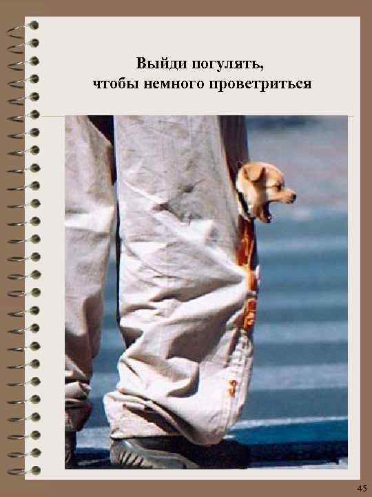 Выйди погулять, чтобы немного проветриться 45 