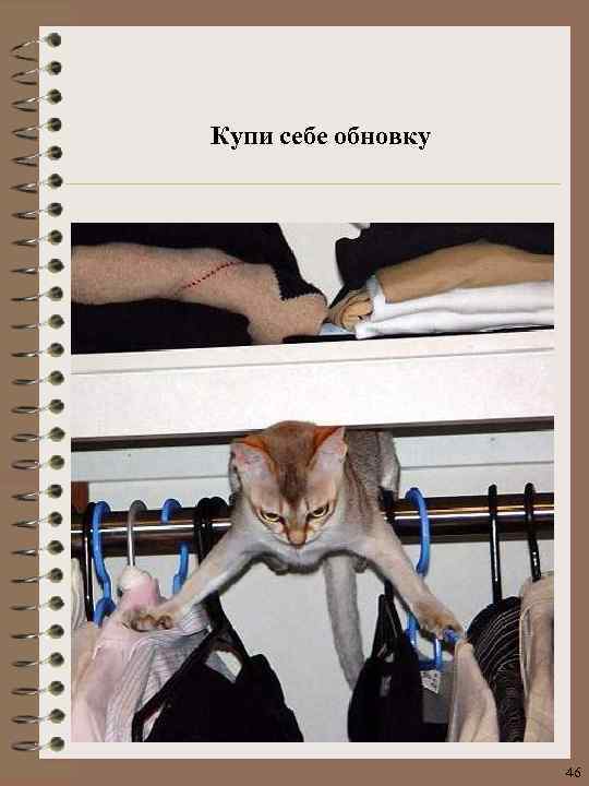 Купи себе обновку 46 