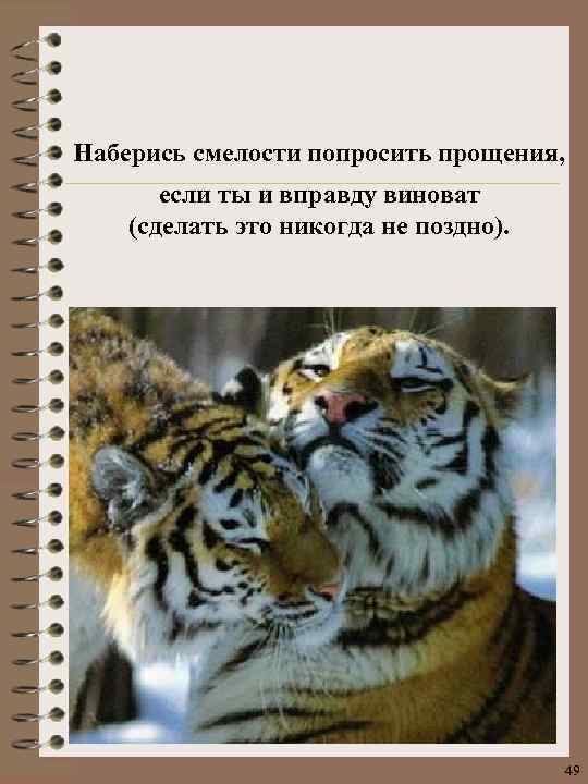 Наберись смелости попросить прощения, если ты и вправду виноват (сделать это никогда не поздно).
