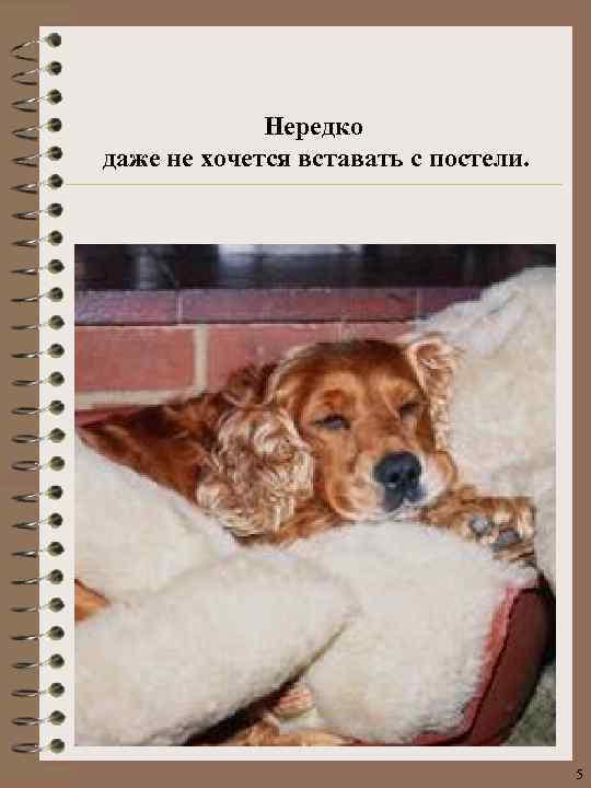 Нередко даже не хочется вставать с постели. 5 