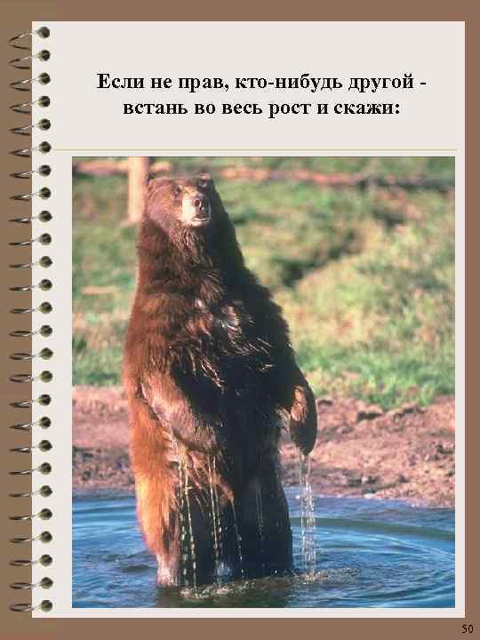 Если не прав, кто-нибудь другой встань во весь рост и скажи: 50 