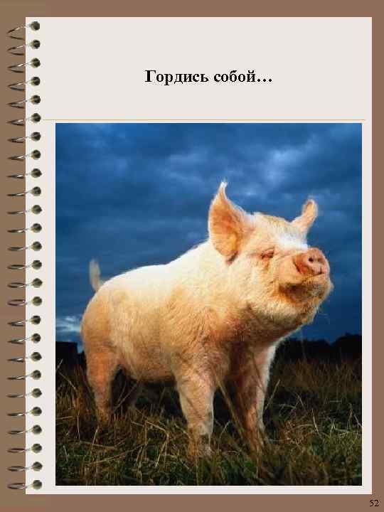 Гордись собой… 52 