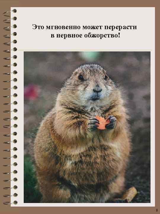 Это мгновенно может перерасти в нервное обжорство! 8 