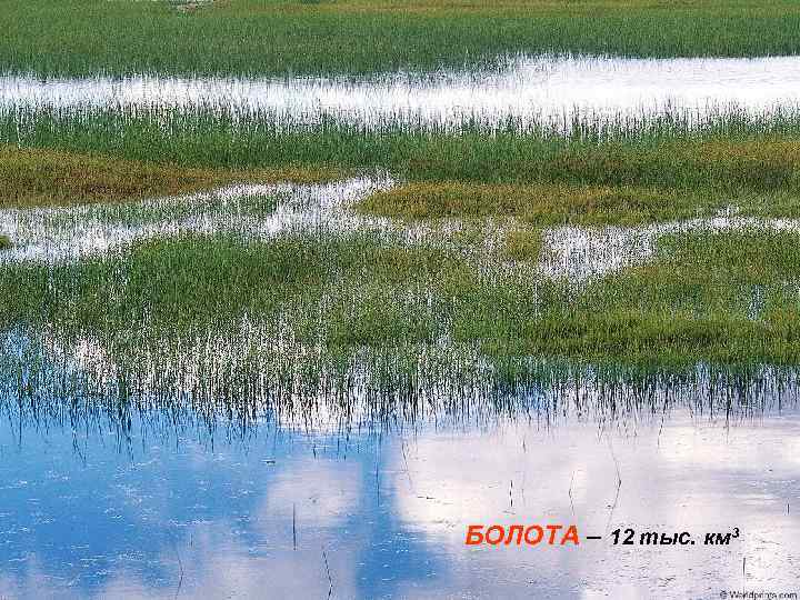 БОЛОТА – 12 тыс. км 3 