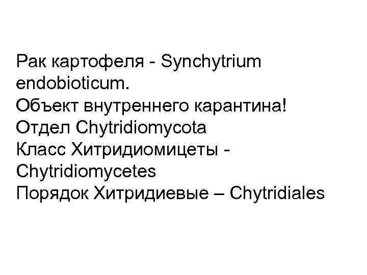 Рак картофеля Synchytrium endobioticum. Объект внутреннего карантина! Отдел Chytridiomycota Класс Хитридиомицеты Chytridiomycetes Порядок Хитридиевые