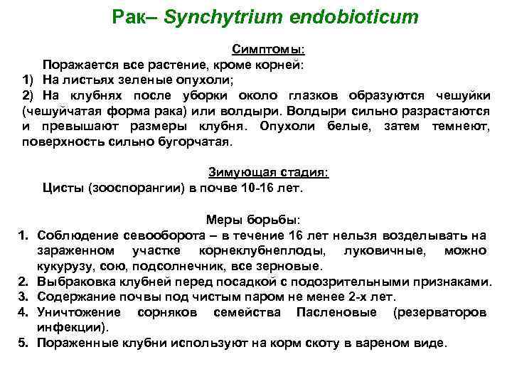 Рак– Synchytrium endobioticum Симптомы: Поражается все растение, кроме корней: 1) На листьях зеленые опухоли;