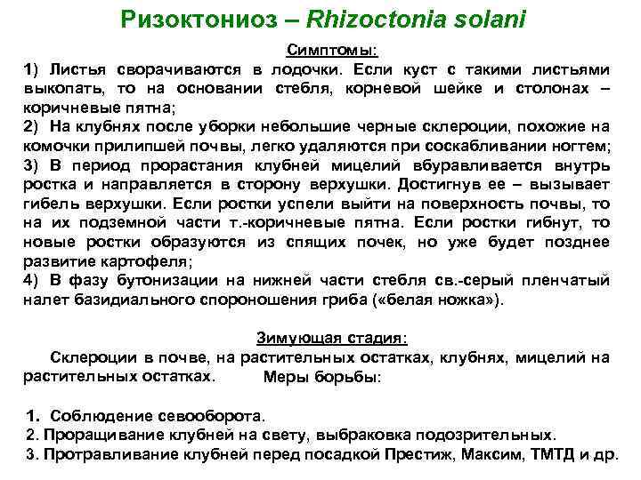 Ризоктониоз – Rhizoctonia solani Симптомы: 1) Листья сворачиваются в лодочки. Если куст с такими