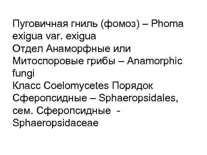 Пуговичная гниль (фомоз) – Phoma exigua var. exigua Отдел Анаморфные или Митоспоровые грибы –