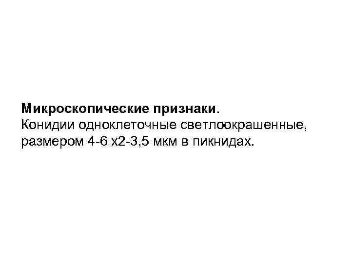 Микроскопические признаки. Конидии одноклеточные светлоокрашенные, размером 4 6 х2 3, 5 мкм в пикнидах.