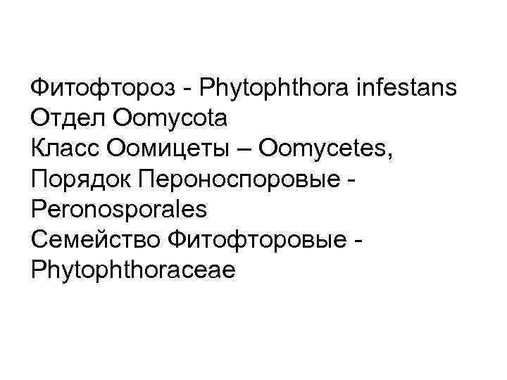 Фитофтороз Phytophthora infestans Отдел Oomycota Класс Оомицеты – Oomycetes, Порядок Пероноспоровые Peronosporales Семейство Фитофторовые