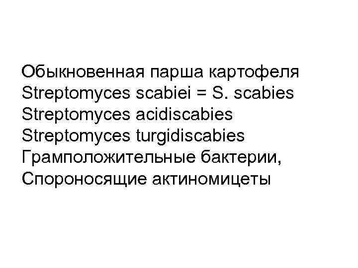 Обыкновенная парша картофеля Streptomyces scabiei = S. scabies Streptomyces acidiscabies Streptomyces turgidiscabies Грамположительные бактерии,