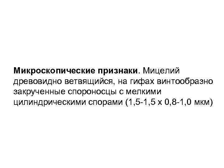Микроскопические признаки. Мицелий древовидно ветвящийся, на гифах винтообразно закрученные спороносцы с мелкими цилиндрическими спорами