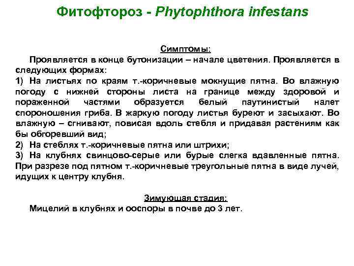 Фитофтороз - Phytophthora infestans Симптомы: Проявляется в конце бутонизации – начале цветения. Проявляется в