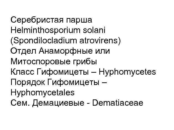 Серебристая парша Helminthosporium solani (Spondilocladium atrovirens) Отдел Анаморфные или Митоспоровые грибы Класс Гифомицеты –