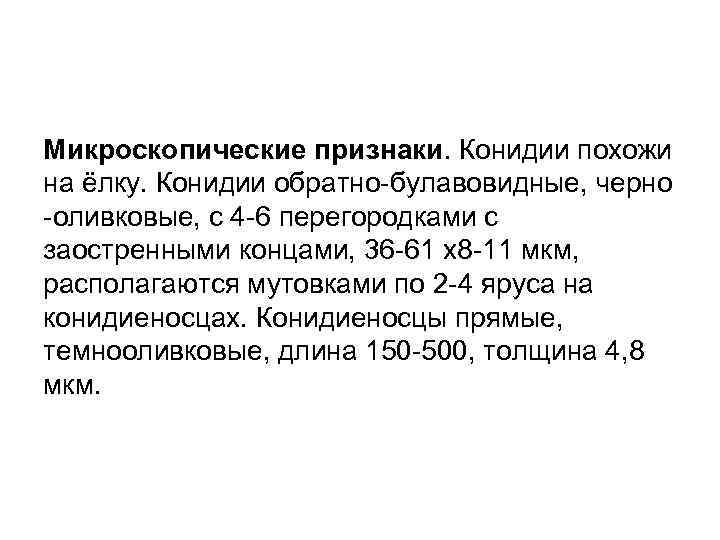 Микроскопические признаки. Конидии похожи на ёлку. Конидии обратно булавовидные, черно оливковые, с 4 6