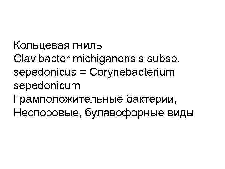 Кольцевая гниль Clavibacter michiganensis subsp. sepedonicus = Corynebacterium sepedonicum Грамположительные бактерии, Неспоровые, булавофорные виды