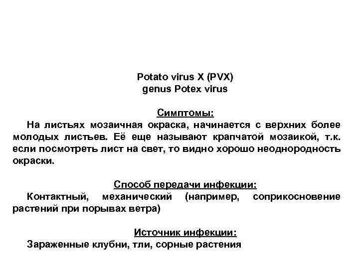 Potato virus X (PVX) genus Potex virus Симптомы: На листьях мозаичная окраска, начинается с