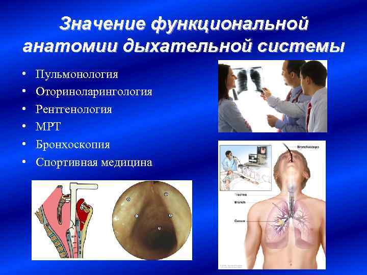 Значение функциональной анатомии дыхательной системы • • • Пульмонология Оториноларингология Рентгенология МРТ Бронхоскопия Спортивная