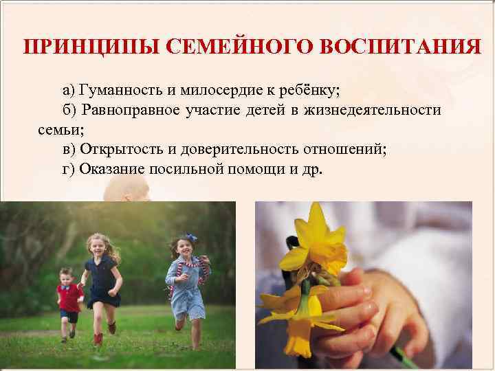 ПРИНЦИПЫ СЕМЕЙНОГО ВОСПИТАНИЯ а) Гуманность и милосердие к ребёнку; б) Равноправное участие детей в