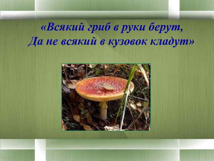  «Всякий гриб в руки берут, Да не всякий в кузовок кладут» 