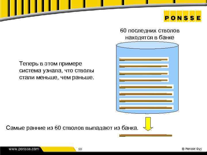 60 последних стволов находятся в банке Теперь в этом примере система узнала, что стволы