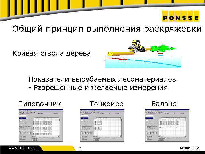 Общий принцип выполнения раскряжевки Кривая ствола дерева Показатели вырубаемых лесоматериалов - Разрешенные и желаемые